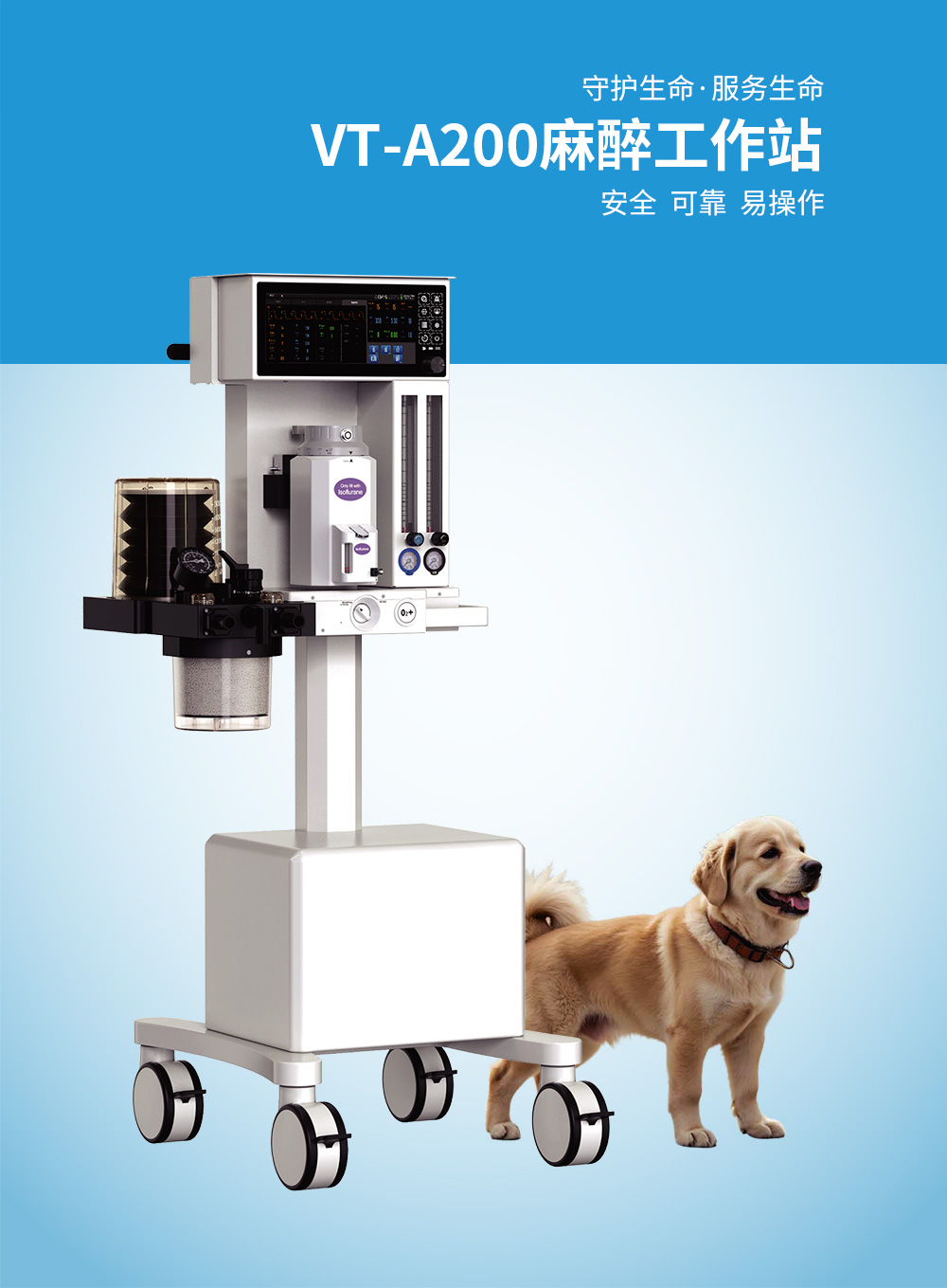 獸用麻醉工作站